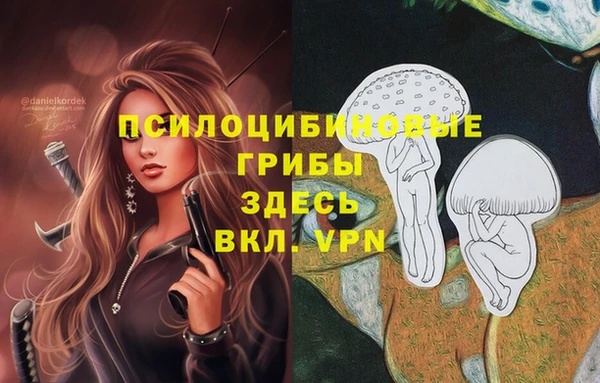 гидра Алзамай