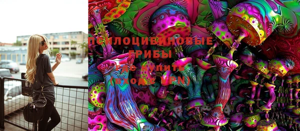 хмурый Алексеевка