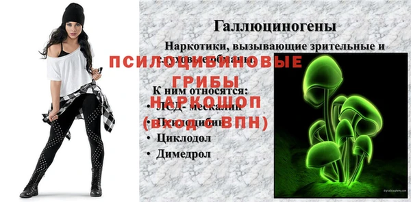 гидра Алзамай