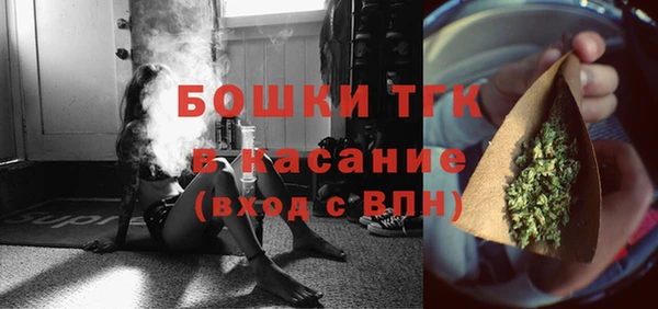 гидра Алексин