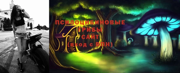 гидра Алексин