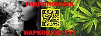 альфа пвп Новокубанск