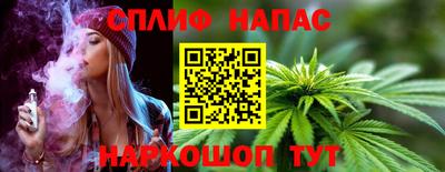 гидра Новодвинск