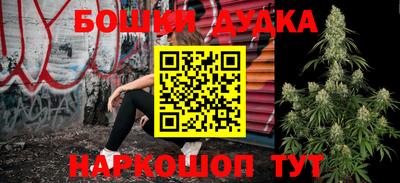 гидра Новодвинск