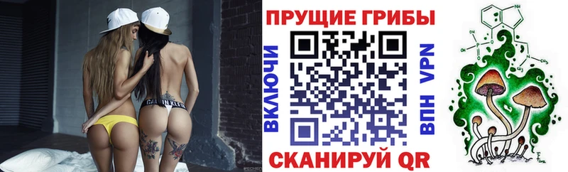 Псилоцибиновые грибы Psilocybe  shop состав  OMG ONION  Тосно  купить закладку 