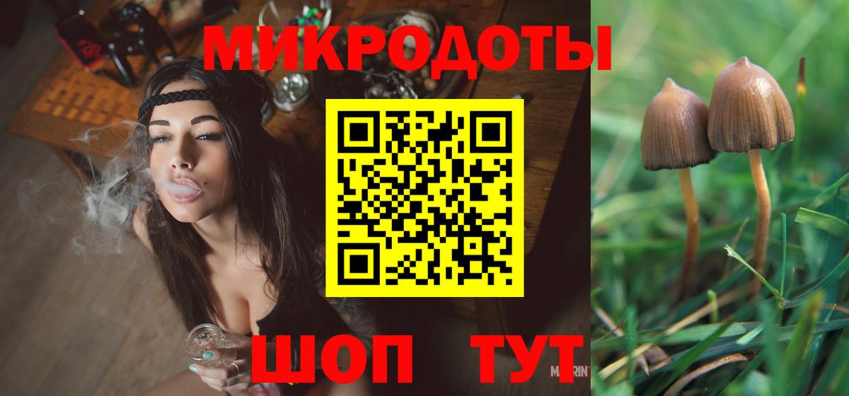 Тосно  Псилоцибиновые грибы GOLDEN TEACHER  Вход с VPN 