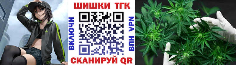Конопля индика Тосно