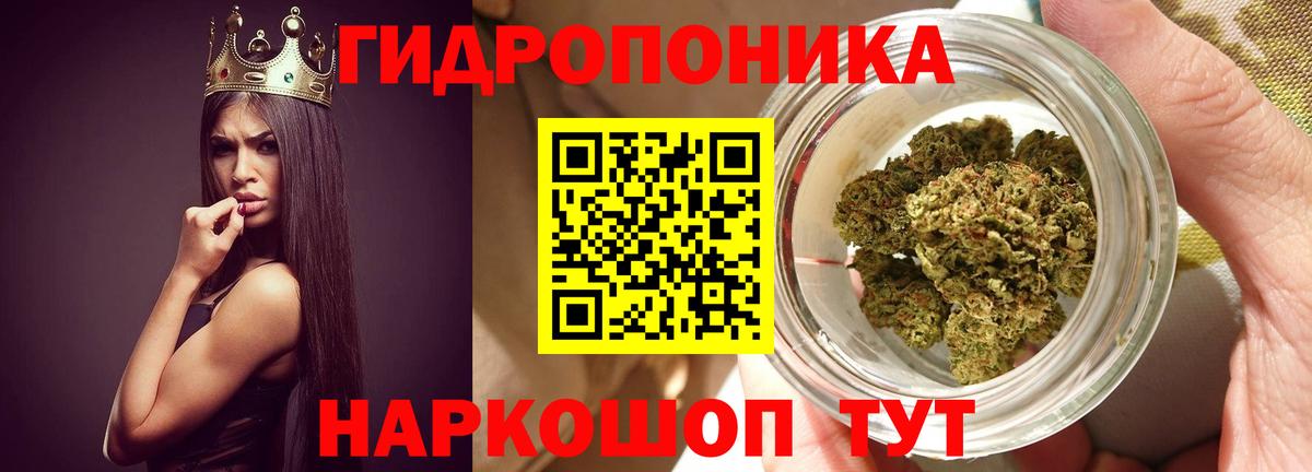 Конопля индика  Каннабис тримм  Вход с VPN  Марихуана семена  Тосно 